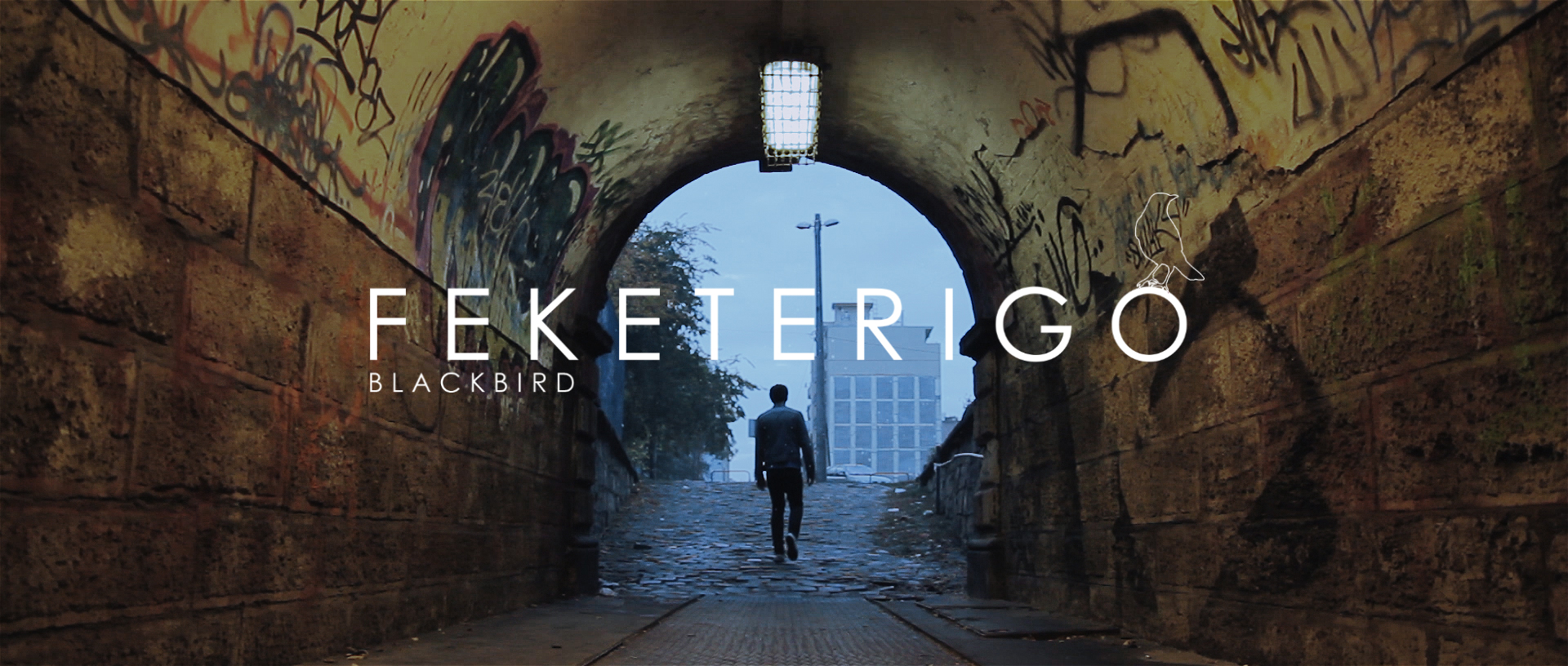 feketerigo_officialstill_title1.jpg