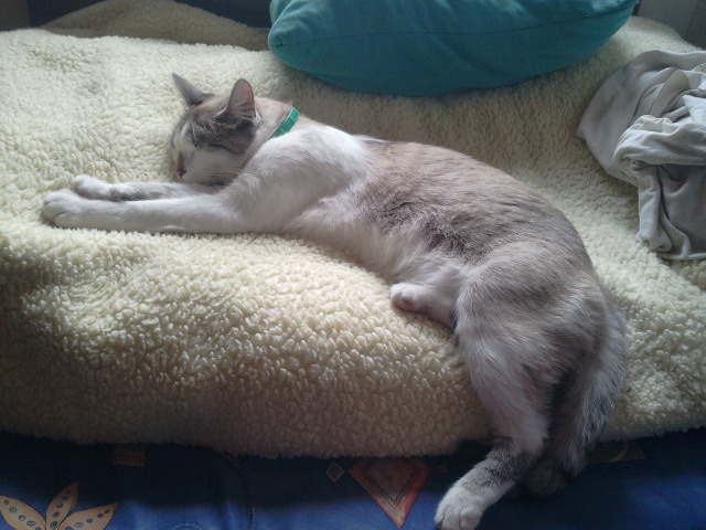2012-10-13 12.42.11.jpg