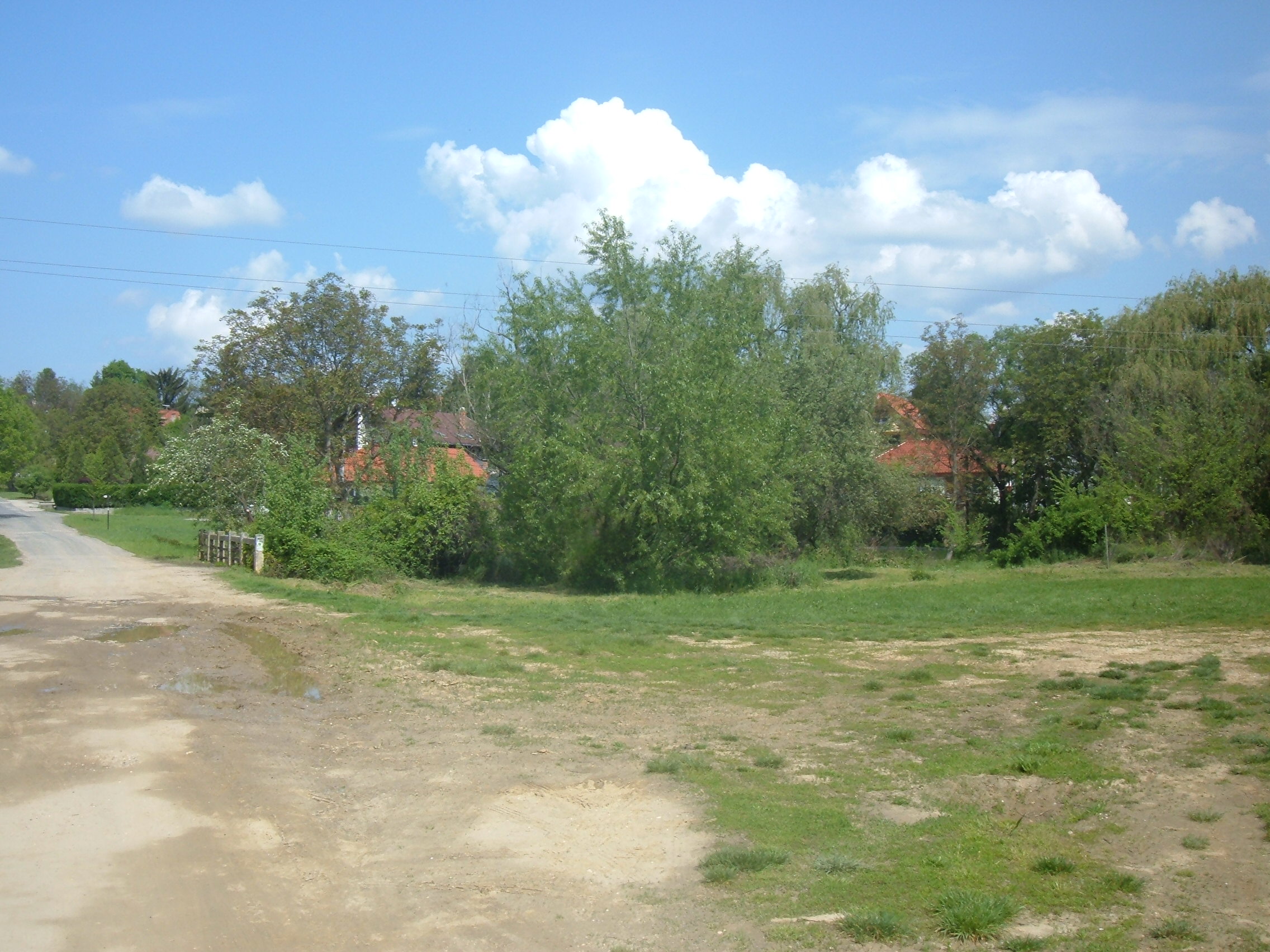 DSCF0841.JPG
