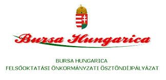 bursa.jpg