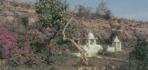 Govardhana.jpg