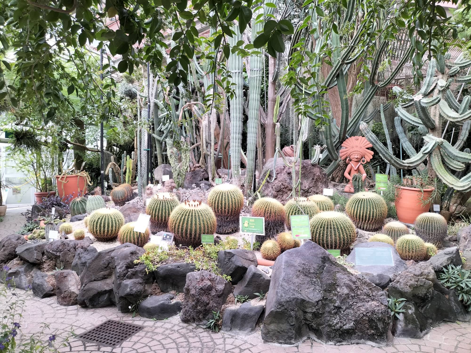 311212182_620682326358744_5176183377108028480_n.jpg