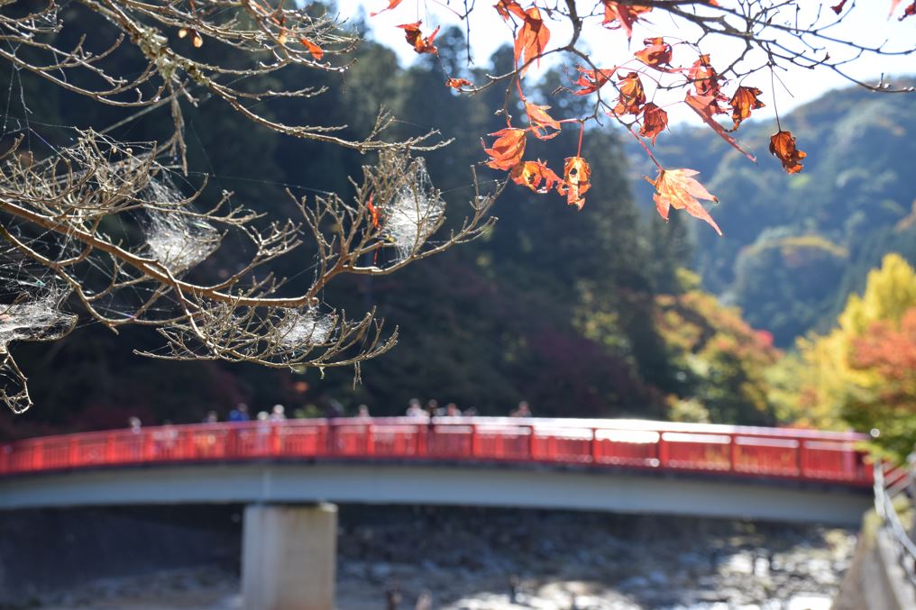 Ha japán ősz, akkor Korankei völgy