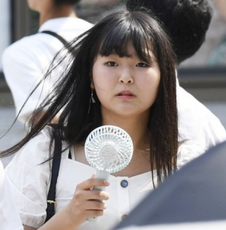 cropped_image_l.png