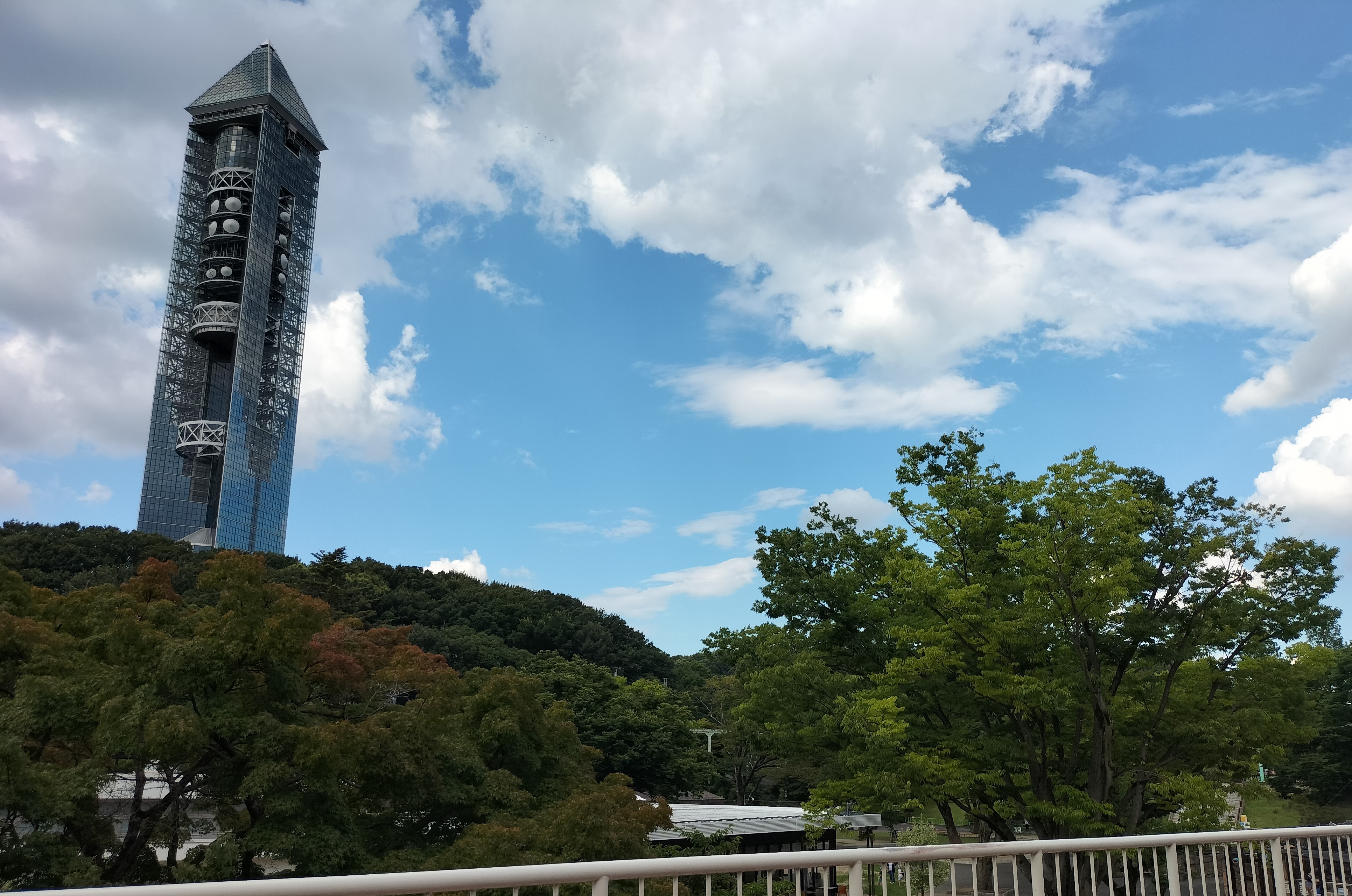 img20220717154936.jpg