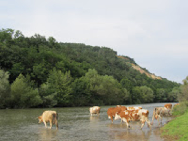 Aranyos völgy - Nagy Bihar