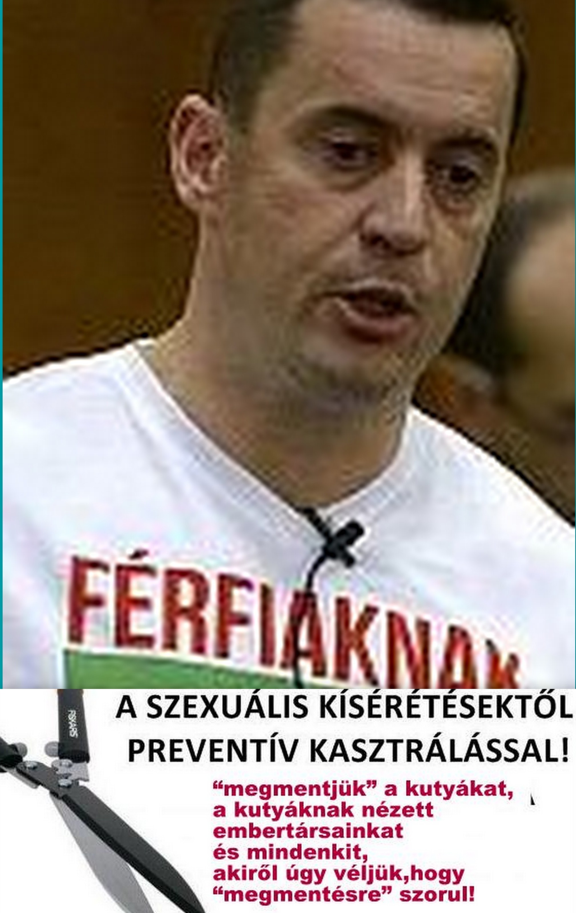 sneider_kasztr.jpg