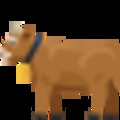 Gratulálunk Colorado játékunk nyertesének!:)