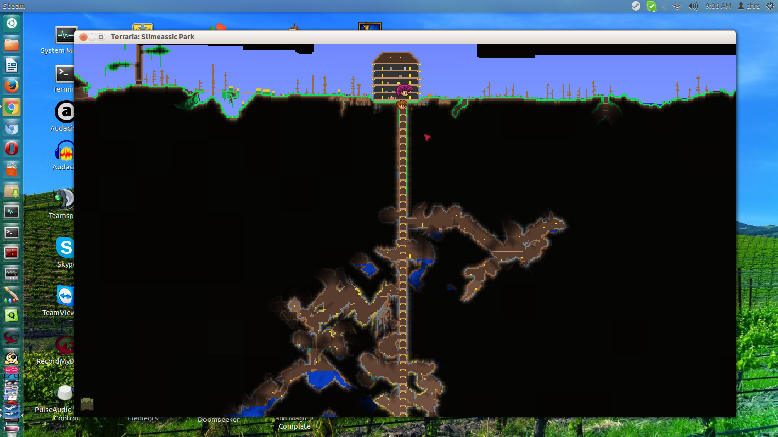 terraria_linux_2.jpg