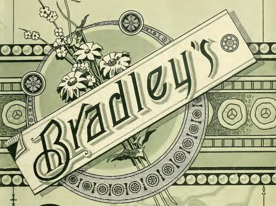 bradley_s_game_and_toy_catalogue_1889-90.jpg