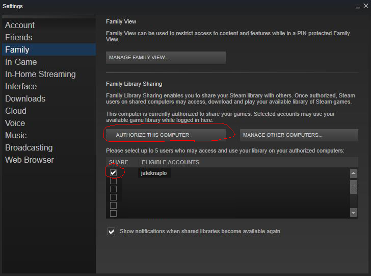 steam_family_sharing.JPG