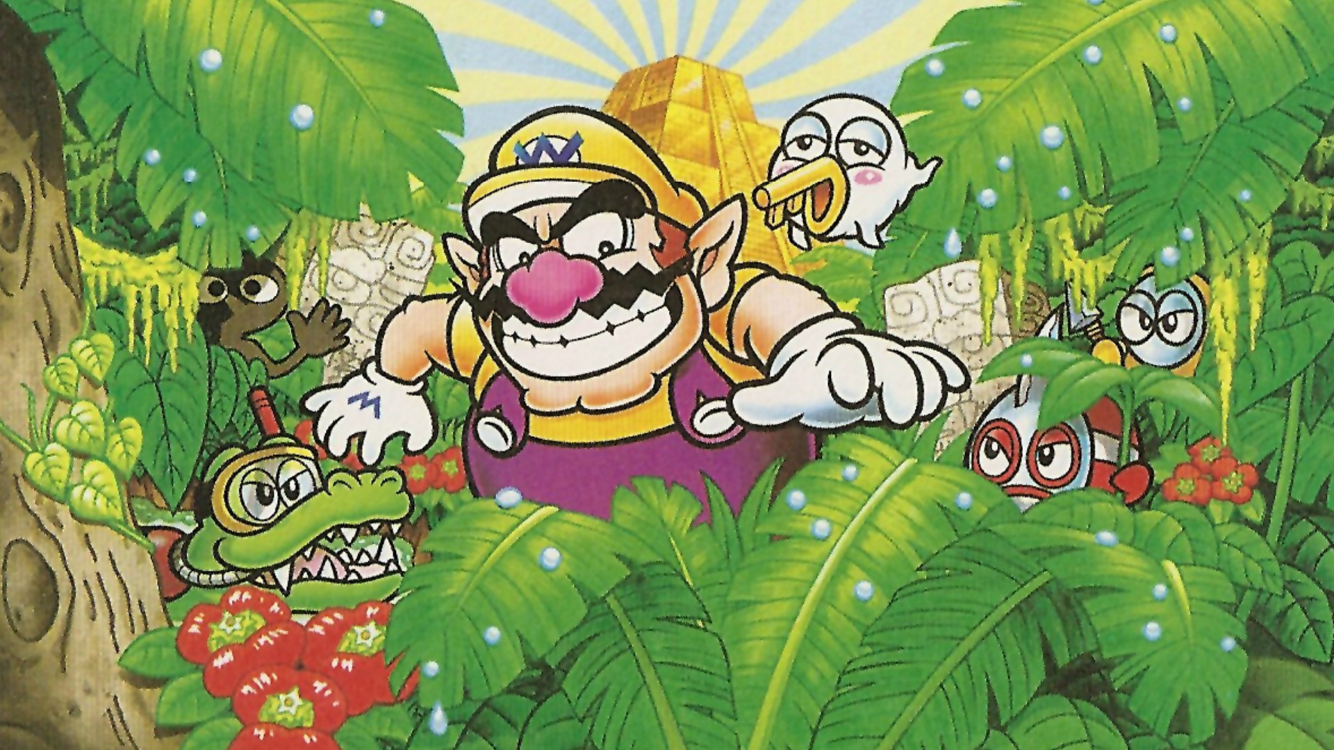 wario_land_4_1.jpg