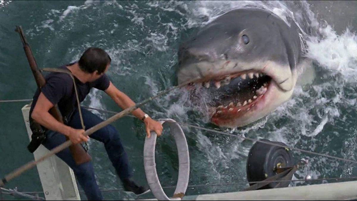 jaws_1.jpg