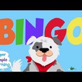 Bingo, a kutya