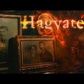 Hagyaték - Gyógyító hagyaték - A népi gyógyászat