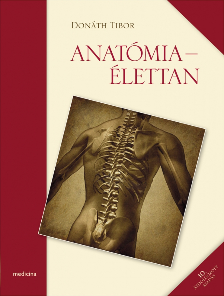 medicina-20150818-681-anatomia-jav.jpg