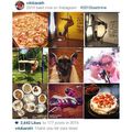 The Best nines ;) #puding #cairnterrier #pizza #poledance #poledanceeverywhere #running #friends #cooking #2015bestnines