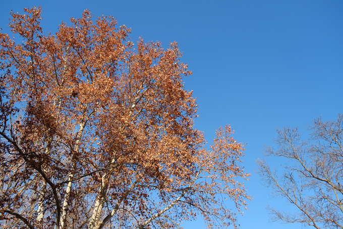 b_dscf9132.jpg