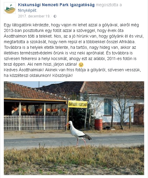 nevtelen.jpg