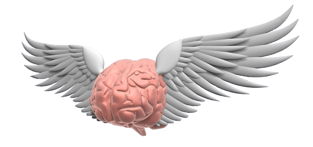 Flying-brain 2.jpg