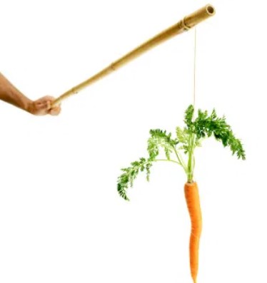 carrot_and_stick.jpg