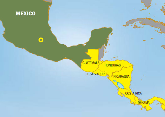 mexico-branch.jpg