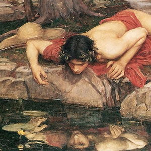 narcissus.jpg