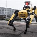 A világ egyik leghíresebb robotfejlesztője a robotok felfegyverzése ellen