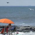 Dühös madaraknak nem tetszenek a New Yorkhoz közeli strand felett járőröző drónok