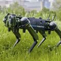 A Boston Dynamics bepereli az egyik versenytársát