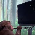 Videojátékos majom Elon Musk laboratóriumában