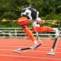 Robot-világcsúcs száz méteres futásban