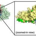 Gépitanulás-modell előrejelzi nanorészecskék és fehérjék interakcióit