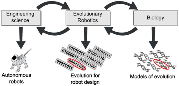 evolutionaryr0.jpg