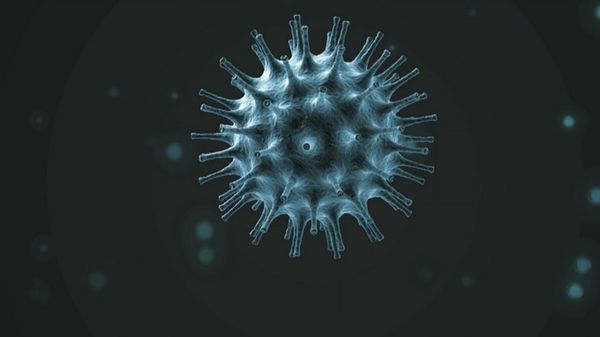 koronavirus0.jpg