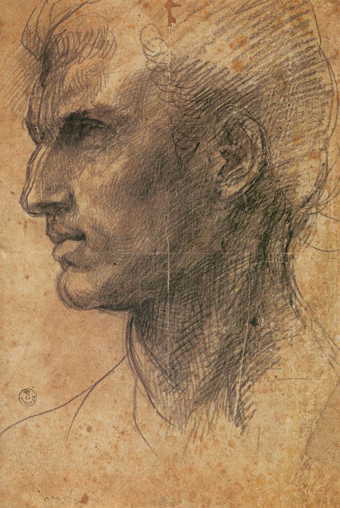 1517_andrea_del_sarto_head_of_a_man_in_profile_facing_left_wga00398.jpg