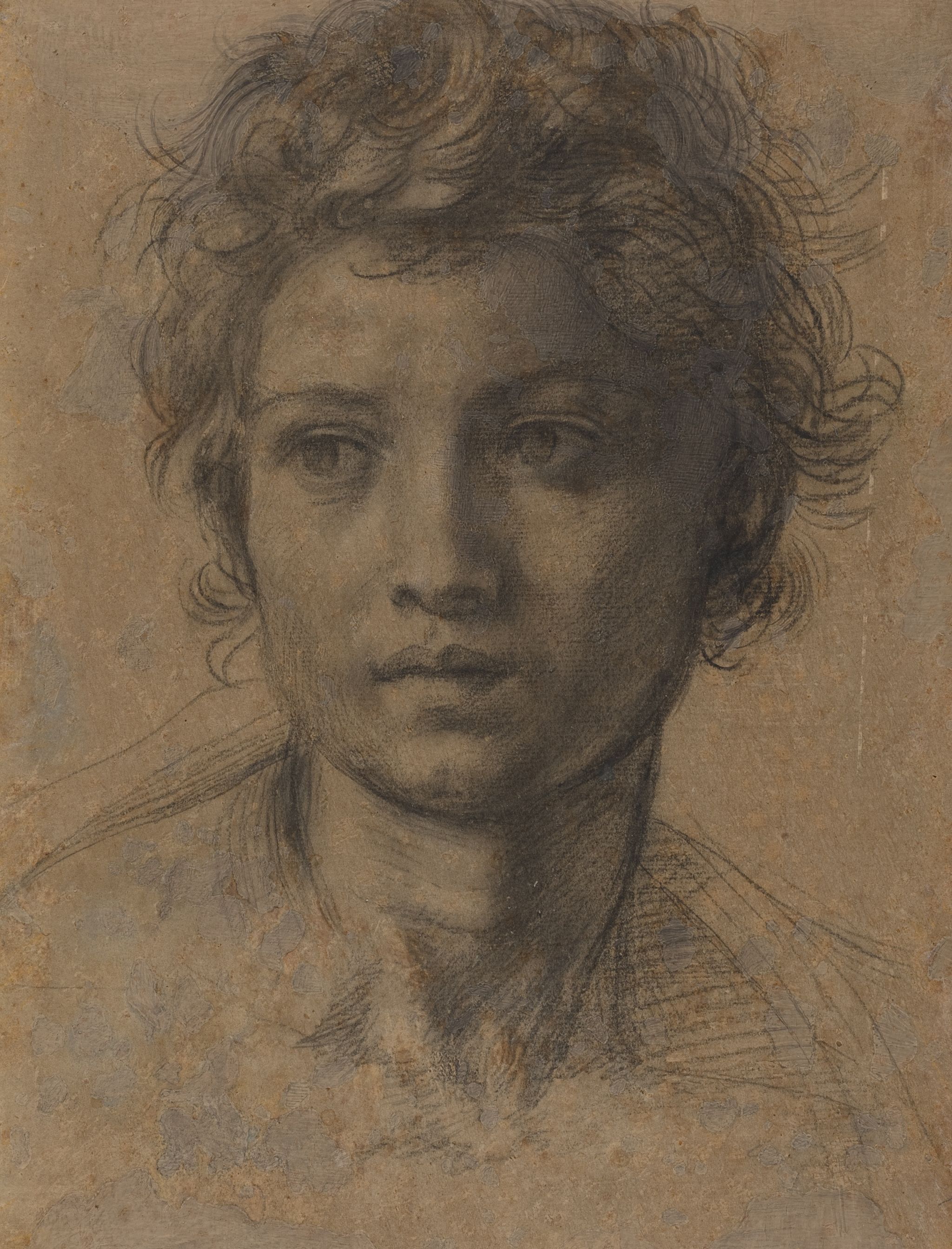 1523_andrea_del_sarto_head_of_saint_john_the_baptist_c_1523_nga_73856.jpg