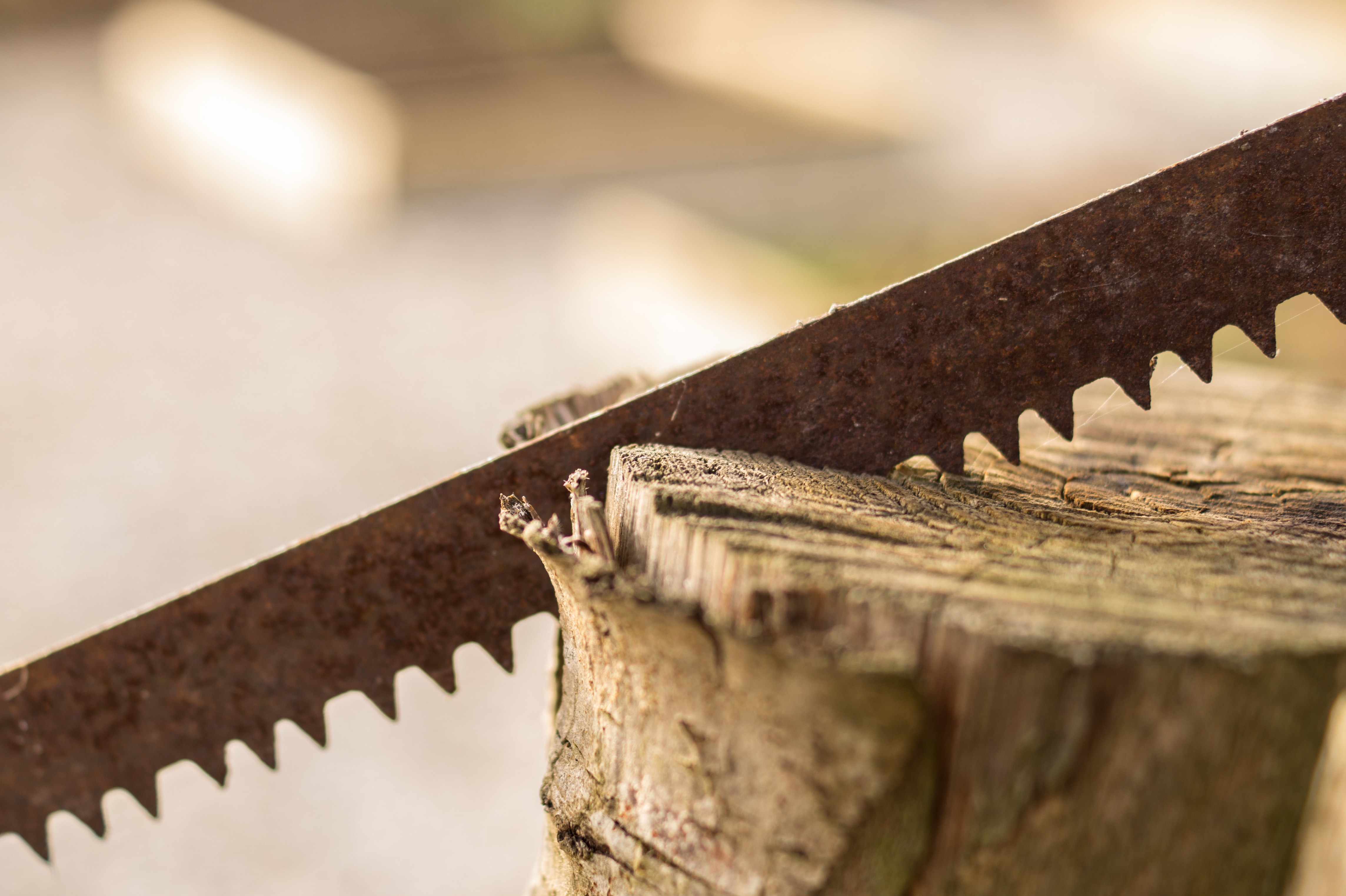 wood-tool-saw-skitterphoto_pexels.jpg