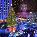 Rockefeller Christmas Tree 2012