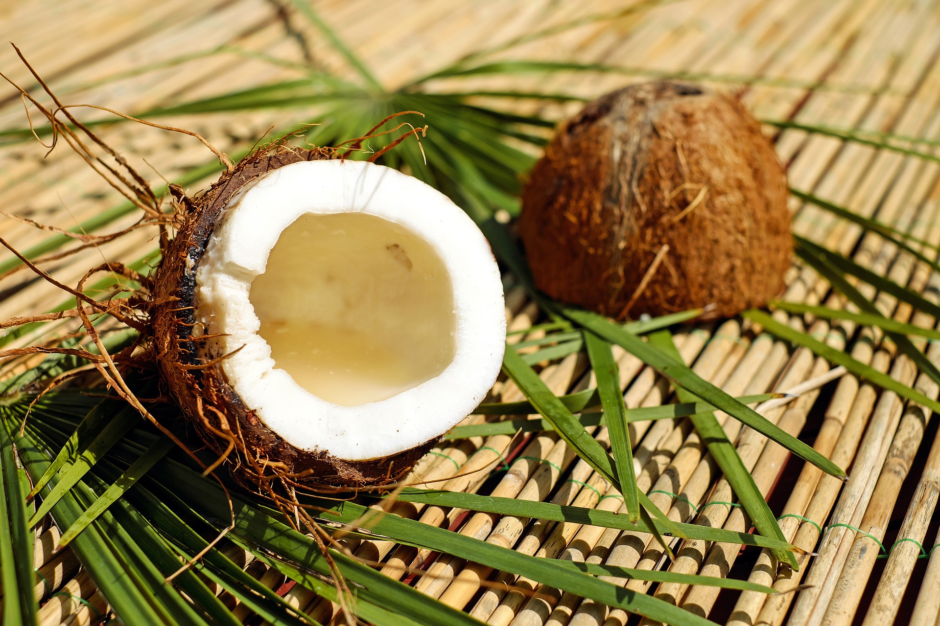 coconut-1501334_1920.jpg