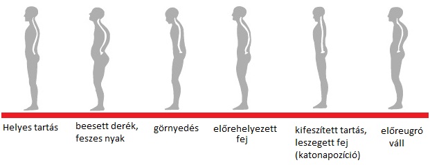 álló-helyzet-oldalról.jpg