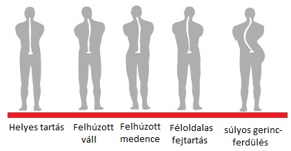 állóhelyzetek-hátulról-blog.jpg