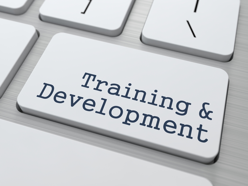 training-and-development.jpg