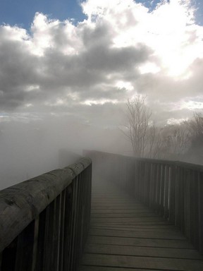 fog-bridge.jpg