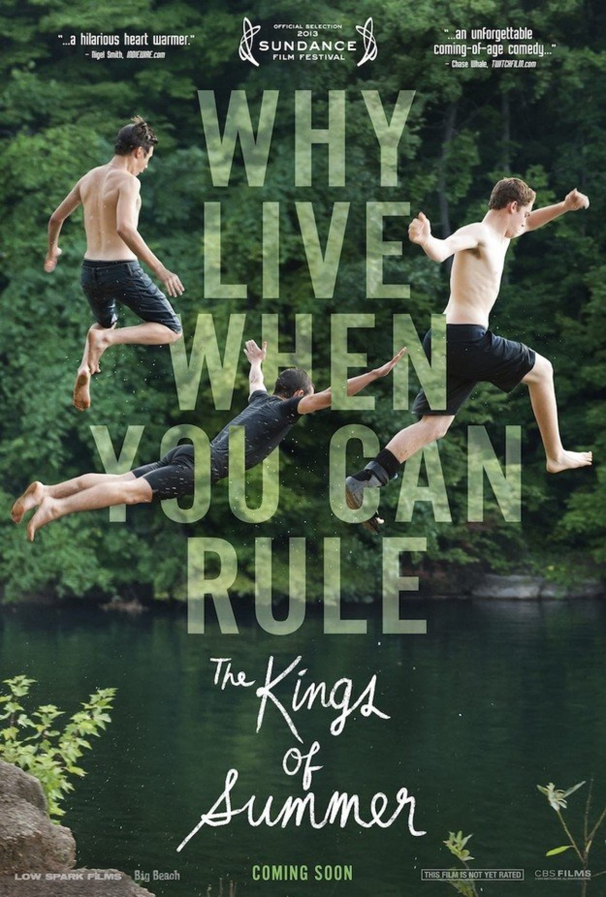 008-kings_of_summer_poster.jpg