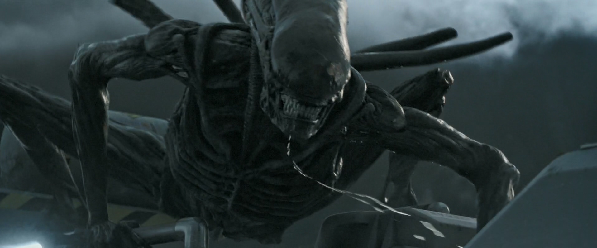 alien_covenant_183455_301.jpg