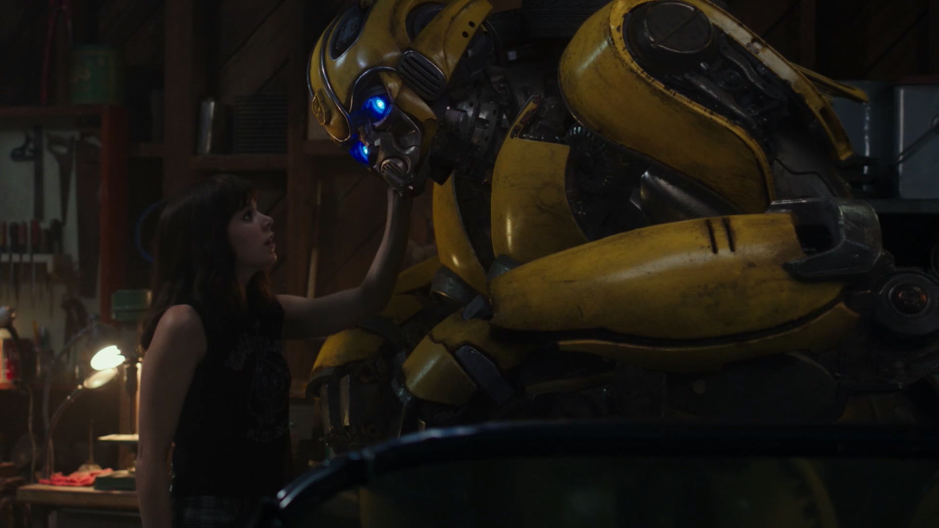 bumblebee_105521_848.jpg