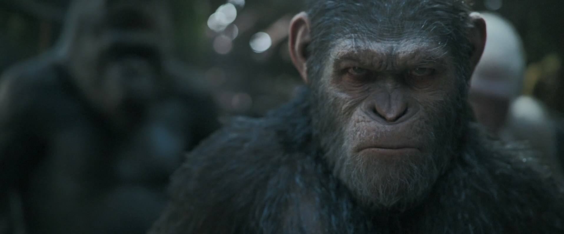 war_for_the_planet_of_the_apes_204315_165.jpg