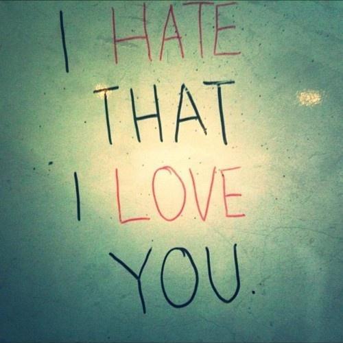 i hate you i love you