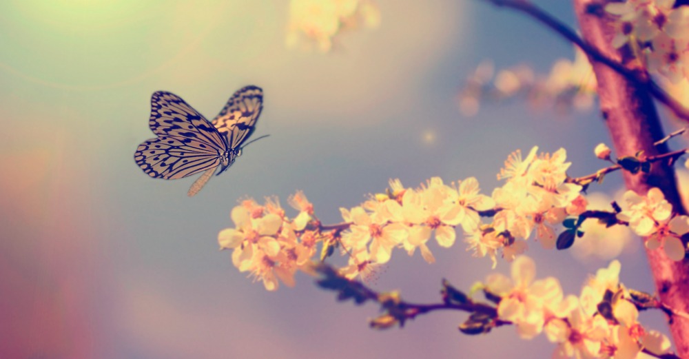 you-are-beautiful-.jpg